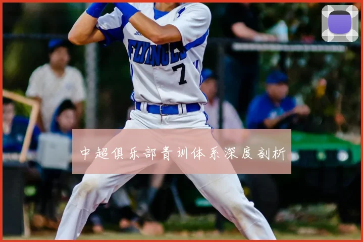 中超俱乐部青训体系深度剖析