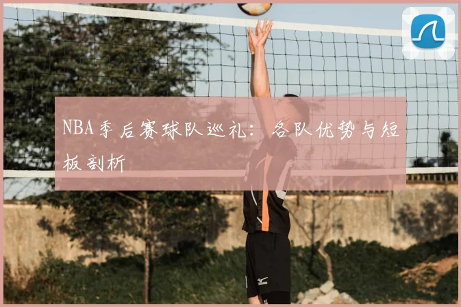NBA季后赛球队巡礼:各队优势与短板剖析
